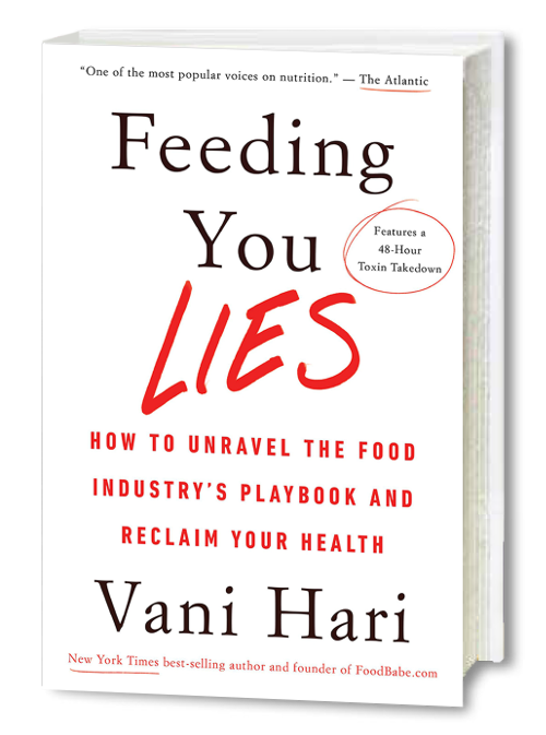 Feeding You Lies - Cover